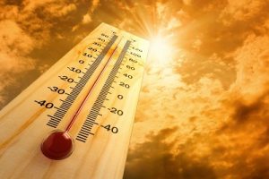 Thermometer in Sun